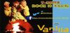 Logo for V Blues Vanilla Radio