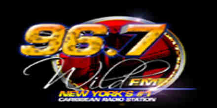 Wild FM 106.3