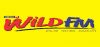 Logo for Wild FM Iligan