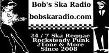 Radio Bobs SKA