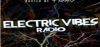 Logo for Electric Vibes Radio
