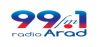 Logo for Radio Arad 99.1