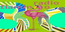 Radio Flamingo 80