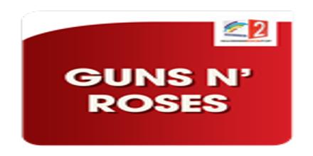 Radio Regenbogen Guns N Roses