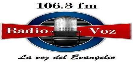 Radio Voz XHEDJ 106.3 FM