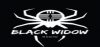 Logo for Black Widow Radio