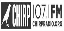 راديو CHIRP