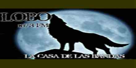 Lobo 107.3 FM