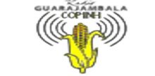 Radio Guarajambala