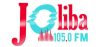 Logo for Joliba105.0 FM