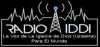 Logo for Radio Iddi