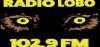 Logo for Radio Lobo