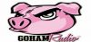 Logo for GoHAM Radio
