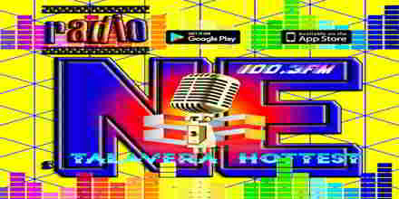 Radio NE FM1003 Talavera