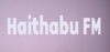 Logo for Haithabu FM