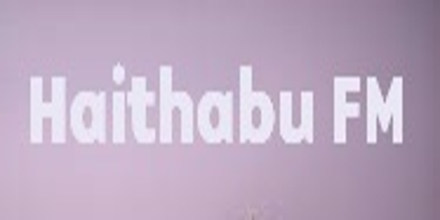 Haithabu FM
