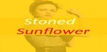 Stoned Sunflower