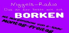 Niggel Radio