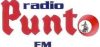 Logo for PuntoFM