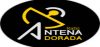Logo for Radio Antena Dorada 106.9 FM