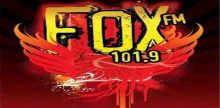 101.9 Фокс FM