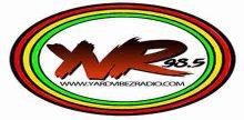 Yard Vibez Radio 98.5