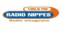 Radio Nippes FM 100.5