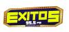 Logo for Exitos 95.5 FM