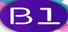 Logo for B1 Radio Mx