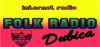 Logo for Folk Radio Dubica