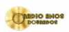 Logo for Radio Anos Dourados