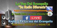 Su Radio Diferente 01