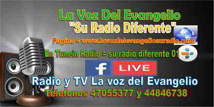 Su Radio Diferente 01