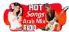 Logo for Radio Arab Mix
