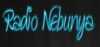 Logo for Radio Nebunya