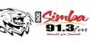 Logo for Radio Simba 91.3 FM