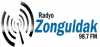 Logo for Radyo Zonguldak