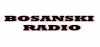 Logo for Bosanski Radio