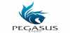 Logo for Pegasus Radio