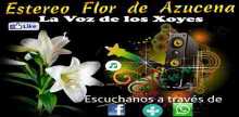 Estereo Flor de Azucena HD