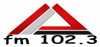 Logo for Delta FM 102.3