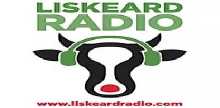 Liskeard Radio Online