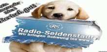 Radio Seidenstadt