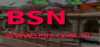 Logo for BSN Online Radio