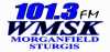 Logo for 101.3 FM WMSK