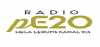 Logo for Radio pE20