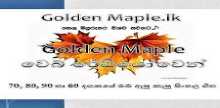 Golden Maple Radio