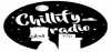 Logo for Chillify Radio FM