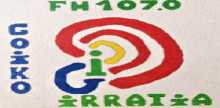 Goiko Irratia FM 107.0