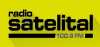 Logo for Radio Satelital 100.9 FM